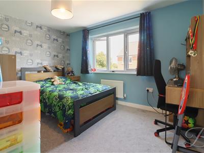 Picture 19